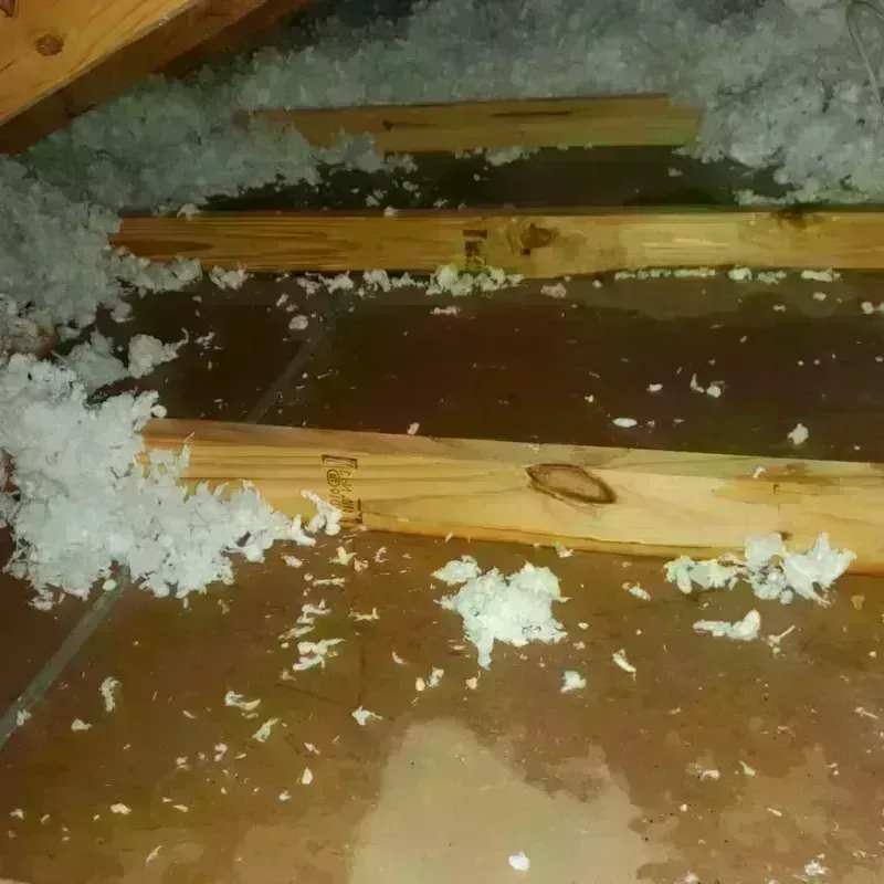 Attic Water Damage in Galion, OH